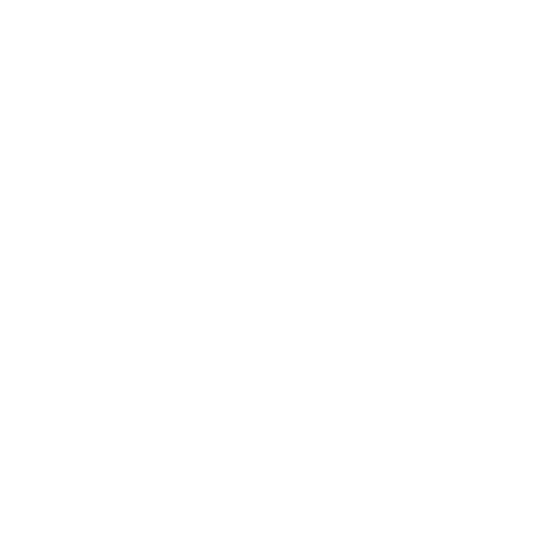 Investor Visa